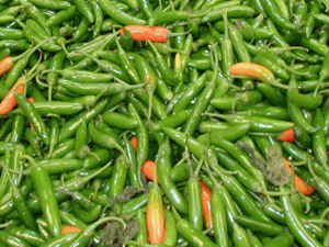 Serrano peppers