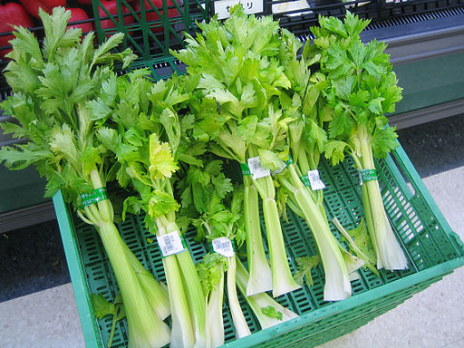 Celery_1