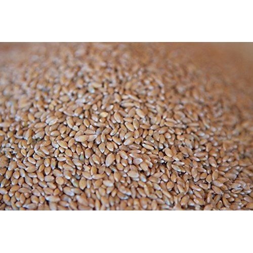 7.5Lbs Organic Farro Piccolo Einkorn