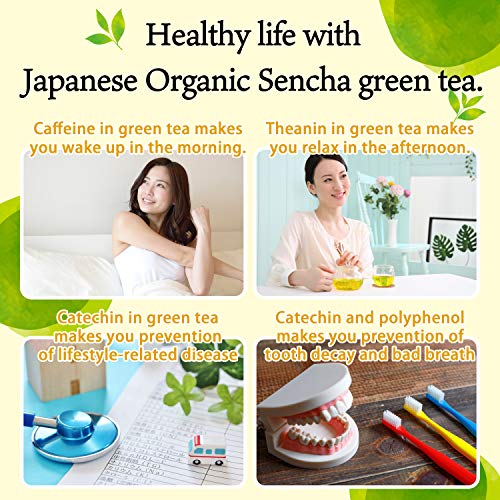 Green Tea Leaves Sencha, Jas Certified Organic,Japanese Uji-Kyot