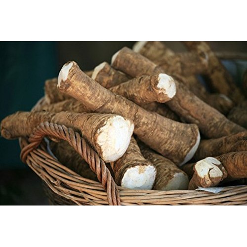 Horseradish Root, Sauget, 6 Ounces Sold By Weight. Great For P