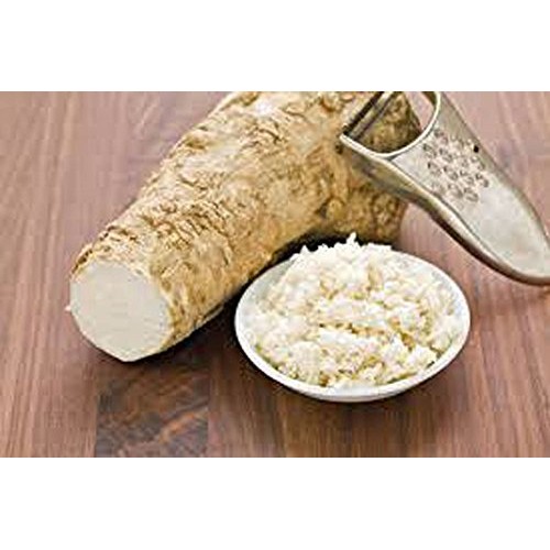 Horseradish Root, Sauget, 10 Ounces Sold By Weight. Great For