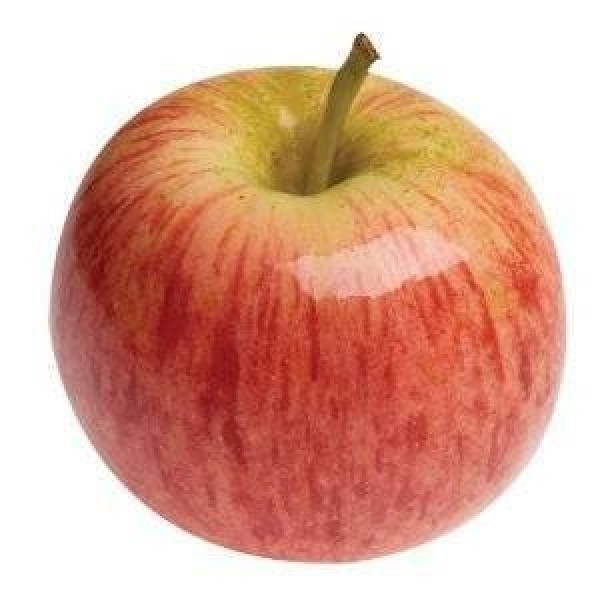 https://www.grocery.com/store/image/cache/catalog/gala-apples-at-the-neighborhood-corner-store/gala-apples-organic-fresh-produce-fruit-per-pound-B00RONIVVQ-600x600.jpg