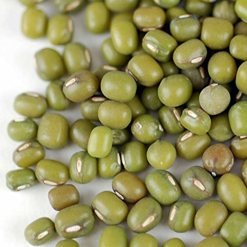 Mung Bean Sprouting Seed: 5 Lb - Organic, Non-Gmo - Handy Pantry