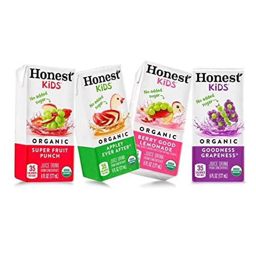 Honest kids Assorted Organic Juice Drink Variety Pack, 6 Fl Oz, ...