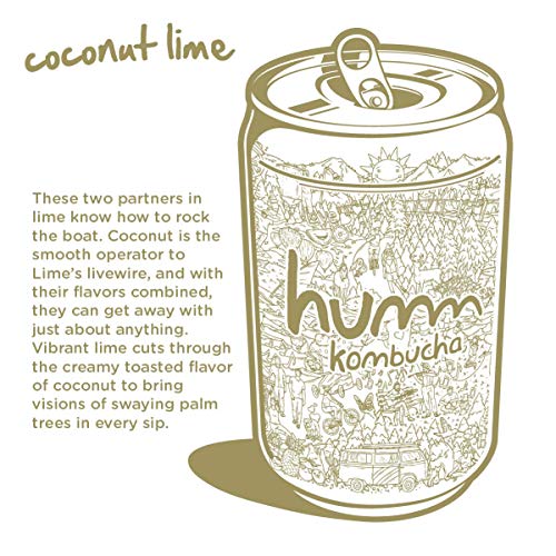 Humm Kombucha Coconut Lime - 2 Billion Probiotics For Gut Health