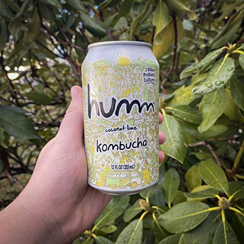 Humm Kombucha Coconut Lime - 2 Billion Probiotics For Gut Health