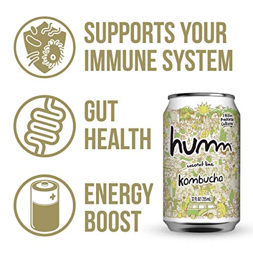 Humm Kombucha Coconut Lime - 2 Billion Probiotics For Gut Health