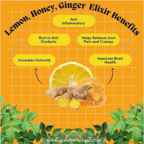 ImmuneSchein Ginger Elixir, 6 Six Ea., 2 oz. Shot Sampler - Ha...