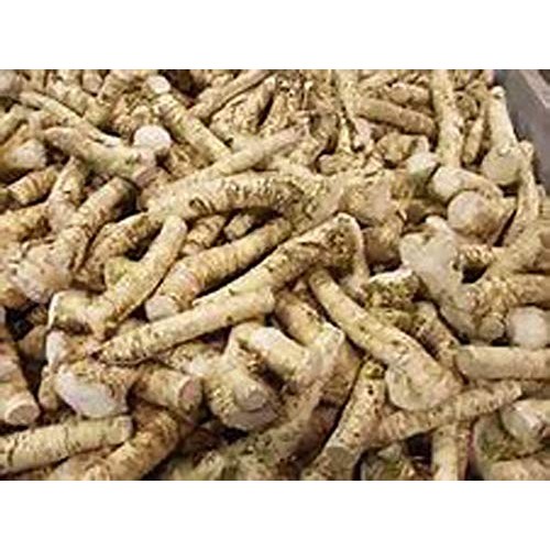 Horseradish Roots Natural, 1/2 Pound, No International Orders