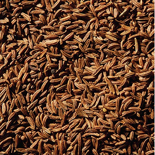 Mccormick Whole Caraway Seed, 0.9 Ounce Pack Of 6