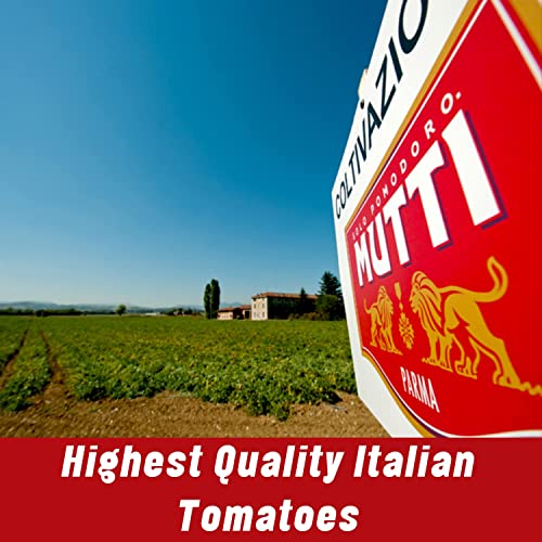 Mutti Double Concentrated Tomato Paste Doppio Concentrato, 4.5...