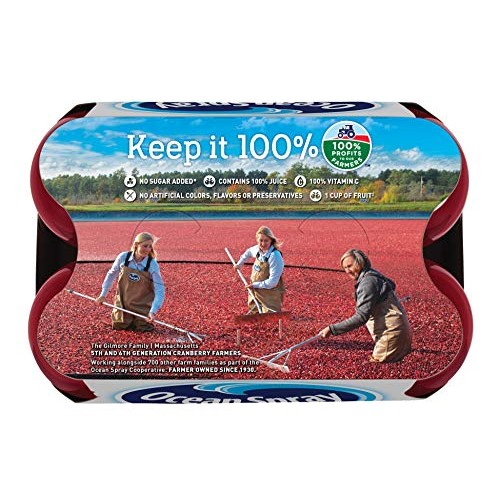 Ocean Spray Cranberry Juice Drink, 10 Oz Bottles, 6 Pack