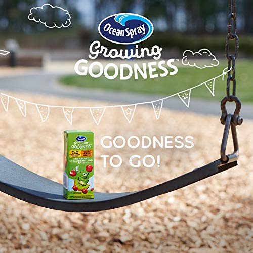 Ocean Spray Growing Goodness Kids Juice Beverage, Cranberry Appl