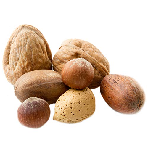 Mixed Nuts Large Raw In Shell, Jumbo Seasonal In Shell Nuts Mix