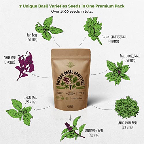 7 Basil Herb Seeds Variety Pack for Planting Indoors & Outdoors ...