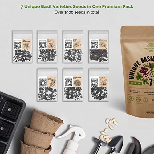 7 Basil Herb Seeds Variety Pack for Planting Indoors & Outdoors ...