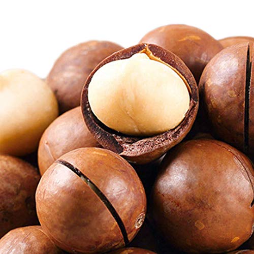 Ouyanghengzhi Health Food Macadamia Nuts In Shell Creamy Flavor