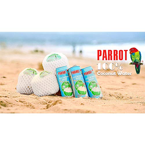 Parrot Brand Coconut Water No Pulp 16.4 Fl. Oz.Pack Of 12