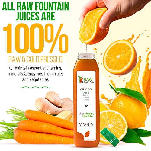 3 Day Protein Juice Cleanse by Raw Fountain, All Natural Raw Det...