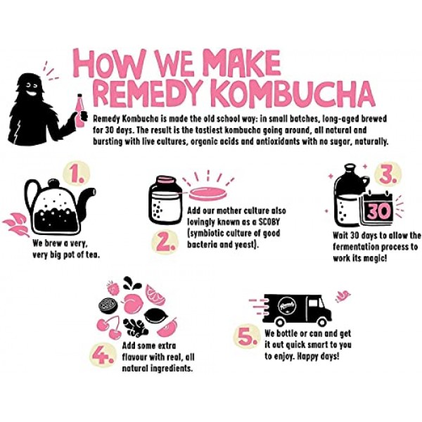Remedy Kombucha Tea Organic Drink - Sugar Free, Keto, Vegan, Non-GMO,  Gluten Free & Low Calorie - Sparkling Live Beverage w/ Gut Health &  Probiotic