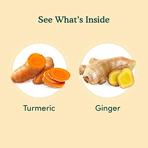 Vahdam, Organic Turmeric + Ginger Herbal Tea 100 Tea Bags | Pow