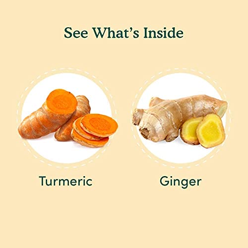 VAHDAM, Organic Turmeric Ginger Superfood Blend 15 Pyramid Tea ...