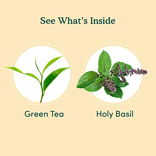 Vahdam, Tulsi Basil Green Tea Loose Leaf 50 Cups | Holy Basil