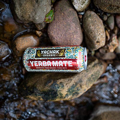 Yachak Yerba Mate Drink, Berry Red, 15.5 Fl Oz, Pack Of 12