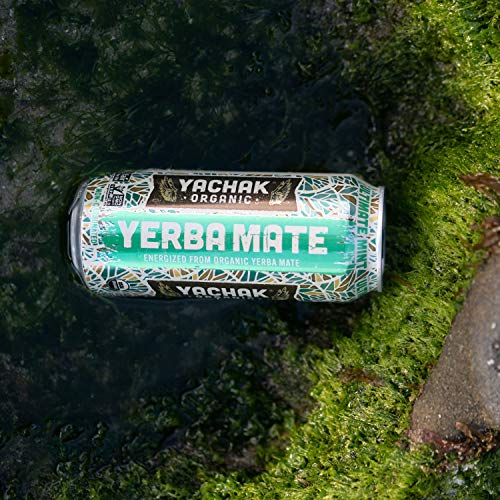 Yachak Yerba Mate Drink, Ultimate Mint, 12 Count