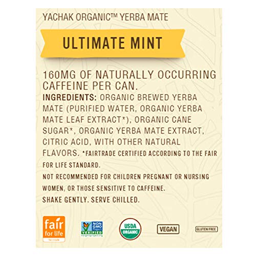 Yachak Yerba Mate Drink, Ultimate Mint, 12 Count