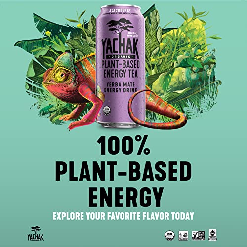 Yachak Yerba Mate Drink, Blackberry, 16 Fl Oz Cans, Pack of 12